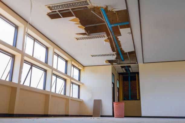 Trusted Tolono, IL Water damage restoration Experts