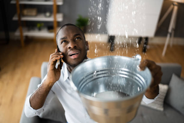Best Emergency water damage restoration  in Tolono, IL