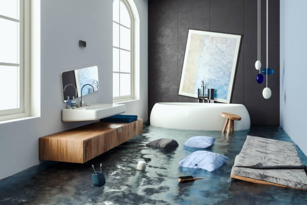 Best Water damage restoration insurance claims  in Tolono, IL