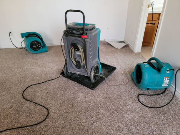 Best Water damage contractors near me  in Tolono, IL