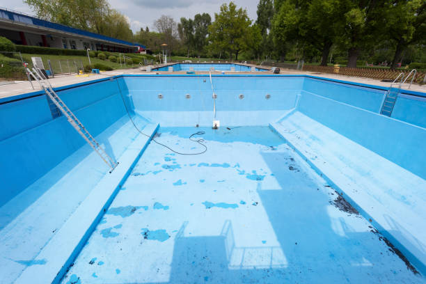 Best Flood damage cleanup  in Tolono, IL