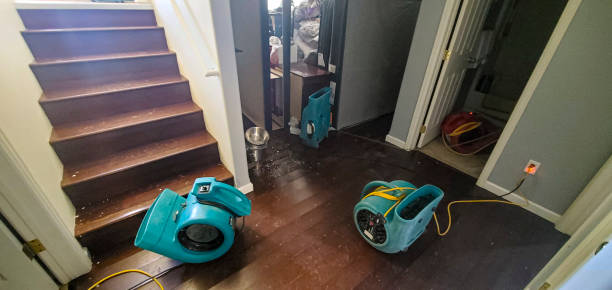 Best Water damage restoration cost  in Tolono, IL