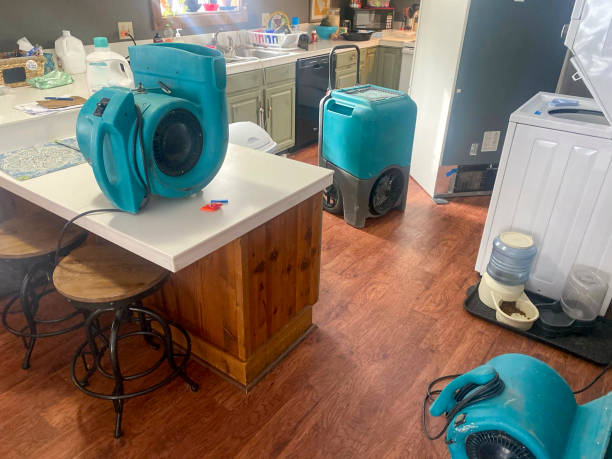 Best Basement water damage restoration  in Tolono, IL