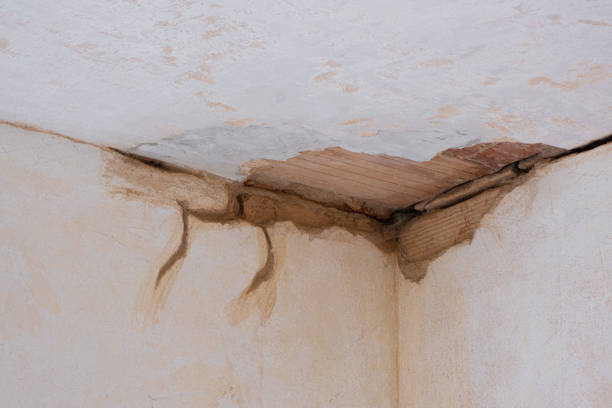 Best Water damage restoration near me  in Tolono, IL