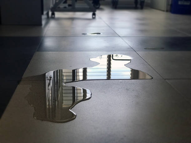 Local water damage restoration in Tolono, IL