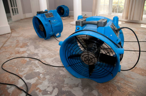 Best Water damage restoration near me  in Tolono, IL