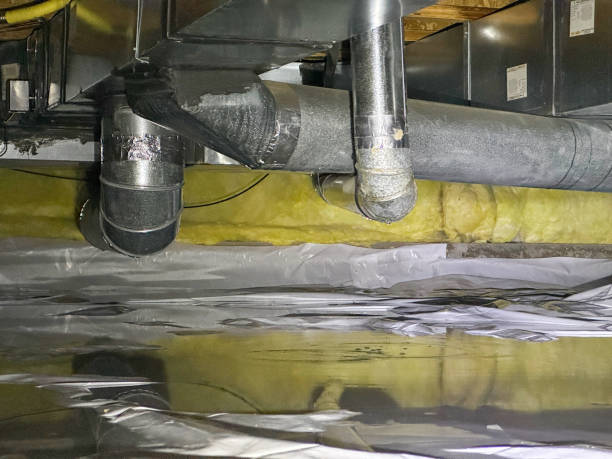 Best Ceiling water damage repair  in Tolono, IL
