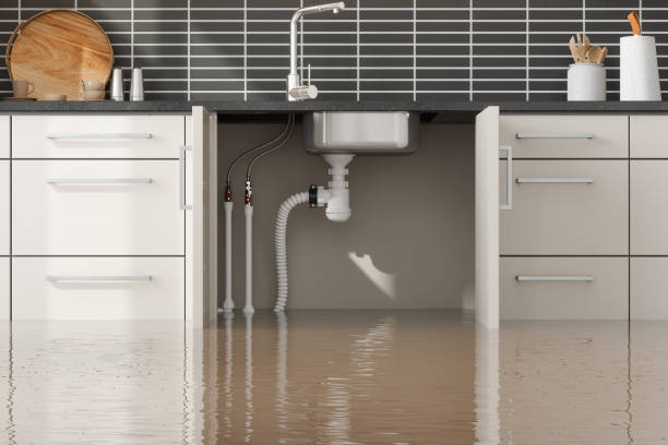 Best Water damage cleanup near me  in Tolono, IL