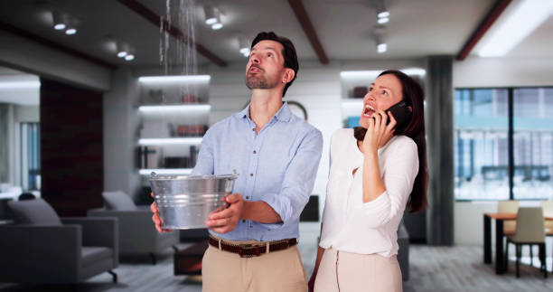 Best Carpet water damage restoration  in Tolono, IL