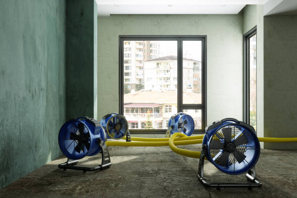 Best Commercial water damage restoration  in Tolono, IL