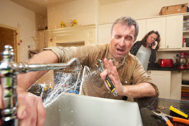 Best 24-hour water damage restoration  in Tolono, IL